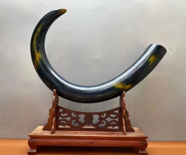 Natural Blue-Tone Mammoth Ivory Tusk Display Piece