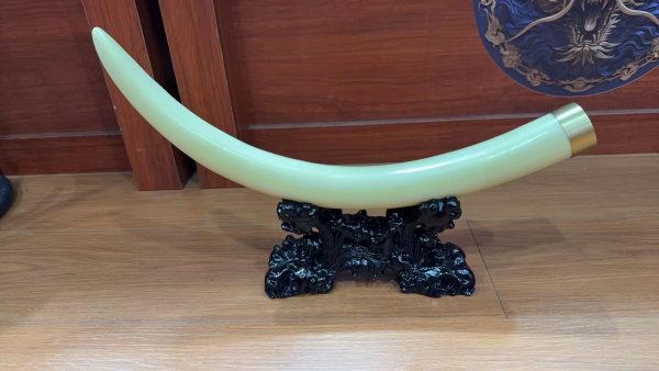 Natural White Mammoth Ivory Tusk Display