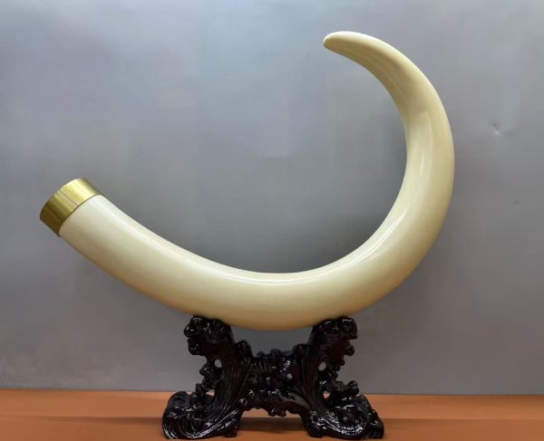 Natural White Mammoth Ivory Tusk Display with Elegant Curve