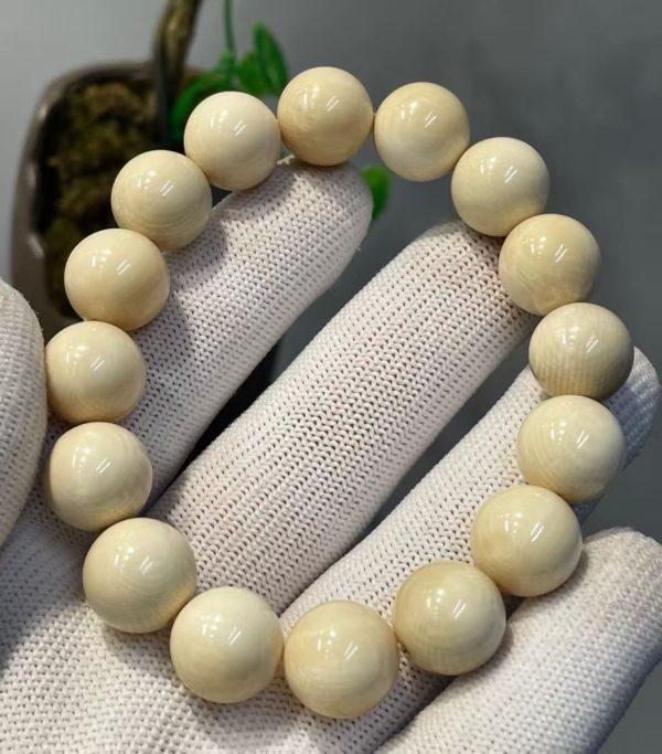 Premium Mammoth Ivory Bead Bracelet