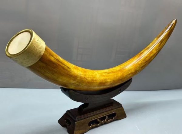 Golden-Patina Mammoth Ivory Tusk Display Piece